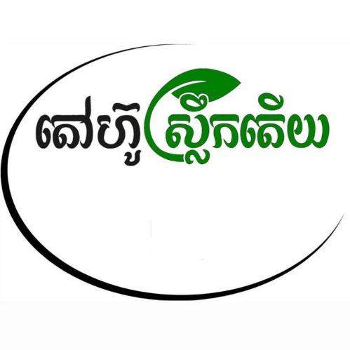 shop_logo